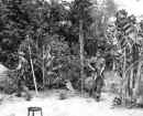 Potts1.jpg (55532 bytes)