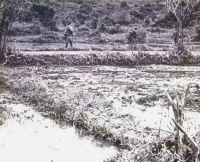 hikeonadike.jpg (88311 bytes)
