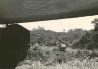 lookingout.jpg (41709 bytes)